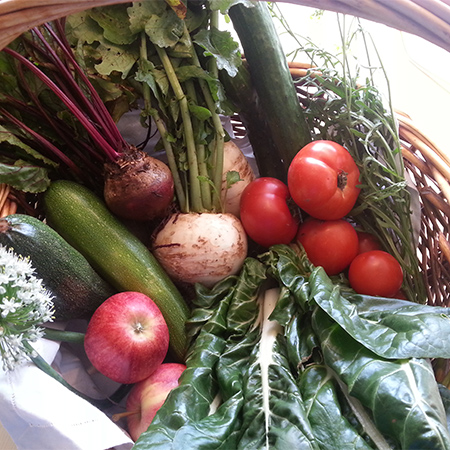 Hofeigene Produkte - Neu-Schötzerhof