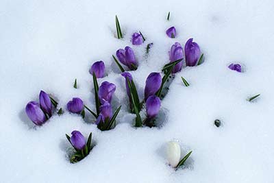 Wenn es schneit am Neu-Schötzerhof