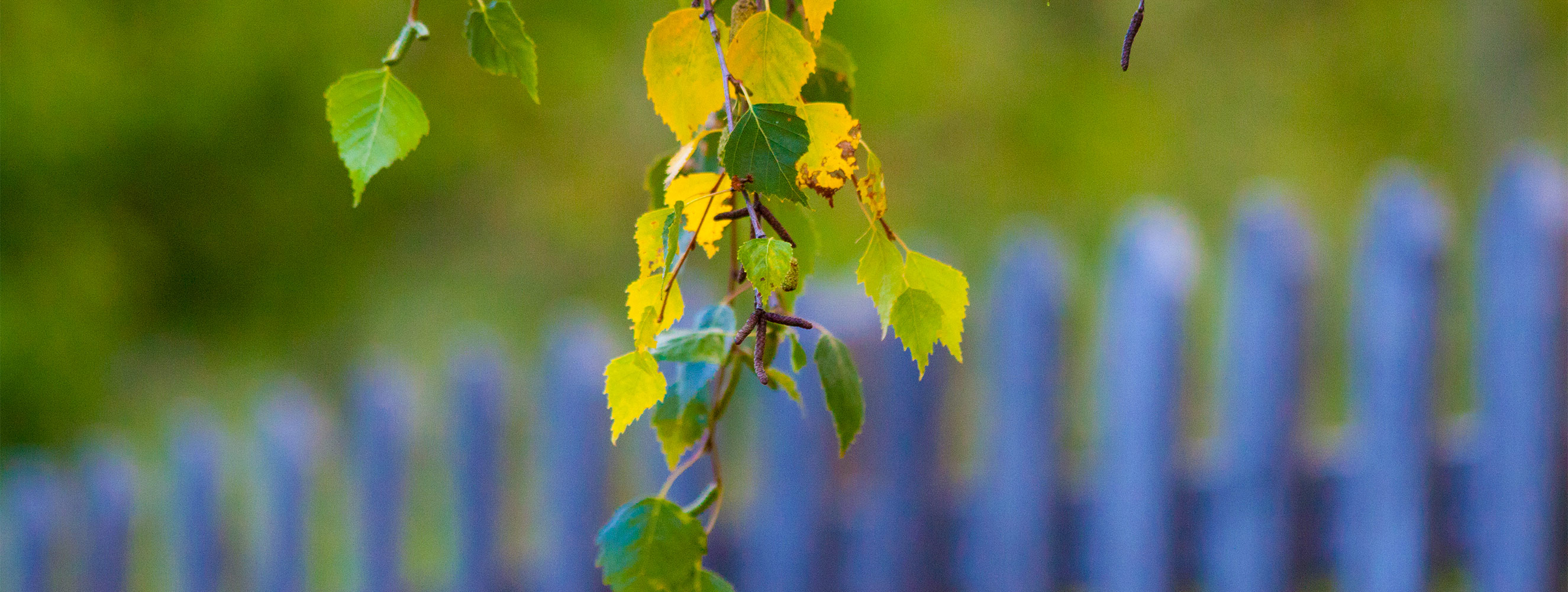 Herbst am Neu-Schötzerhof