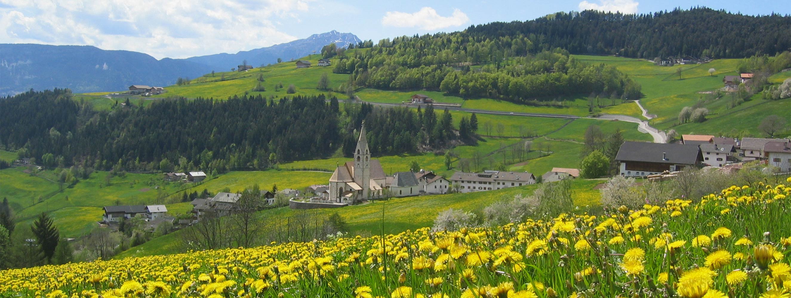 Frühling am Neu-Schötzerhof