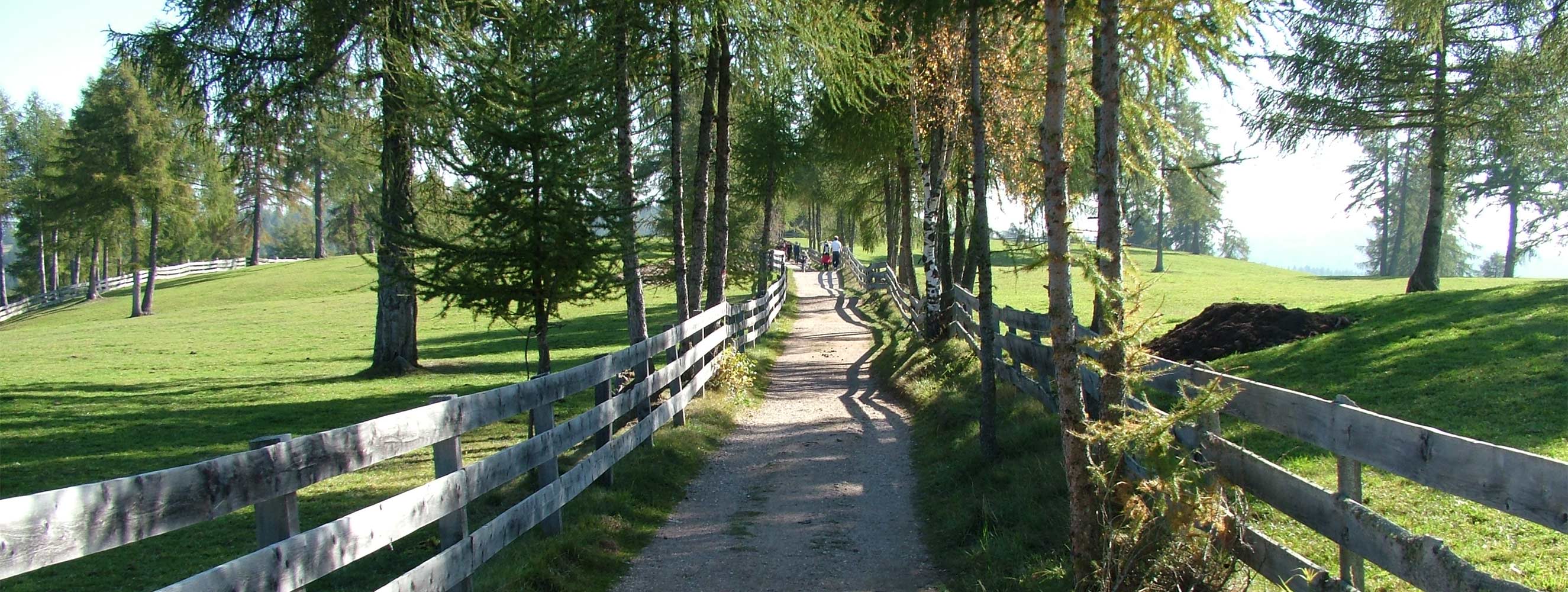 Frühling am Neu-Schötzerhof