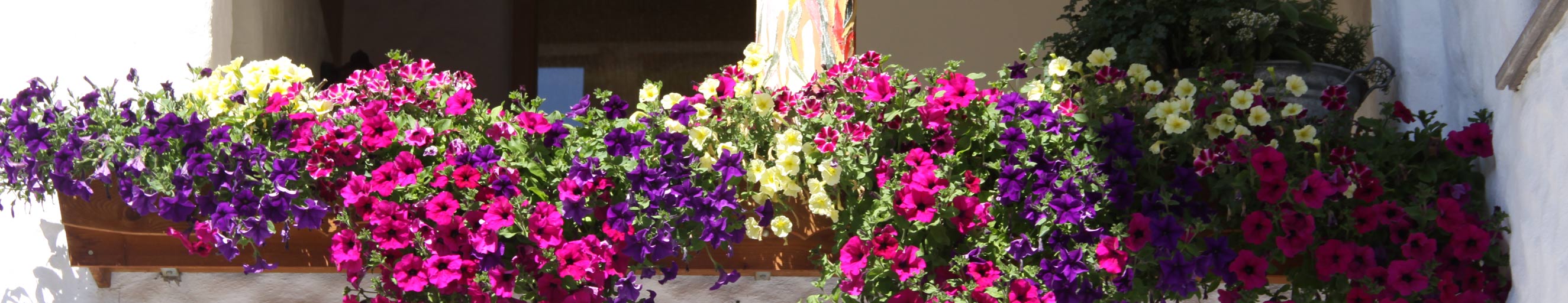 Empfehlenswerte Links