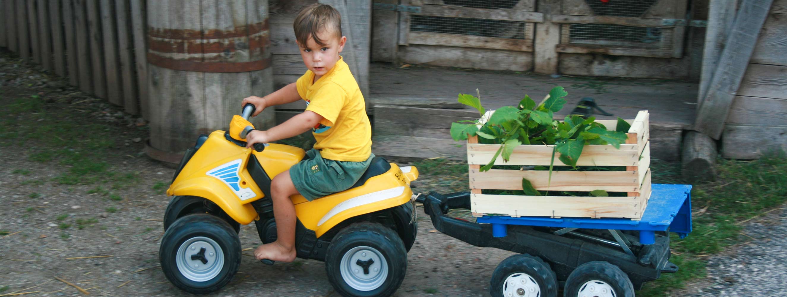 Kinder am Neu-Schötzerhof