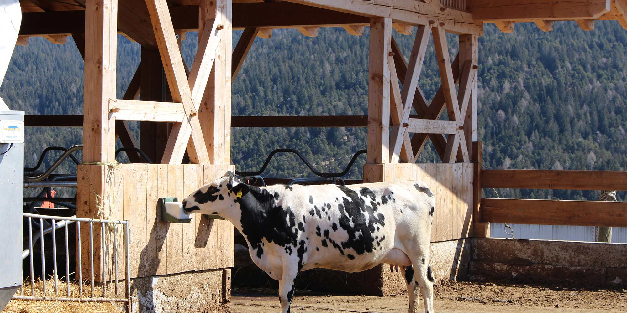 Stall vom Neu-Schötzerhof